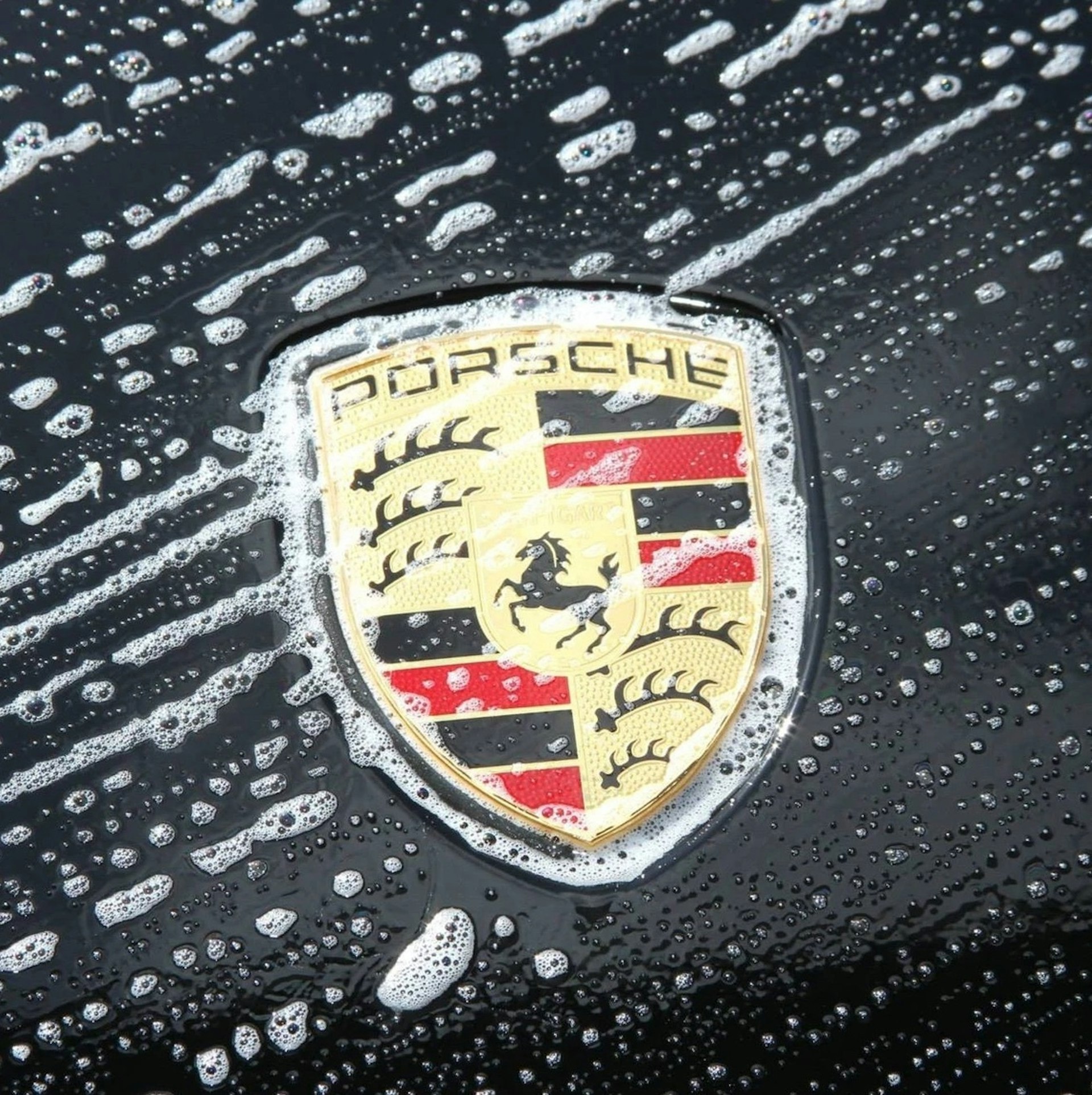 Screen Shot 2022 09 19 at 5 55 00 PM